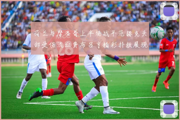 荷兰与摩洛哥上半场战平范赫克头部受伤流血费布吕亨精彩扑救展现实力