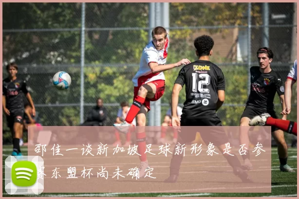 邵佳一谈新加坡足球新形象是否参赛东盟杯尚未确定