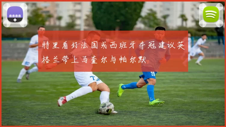 特里看好法国或西班牙夺冠建议英格兰带上马奎尔与帕尔默